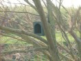 /album/my-local-birding-gallery/nesting-box-in-place-on-the-river-calder-jpg/